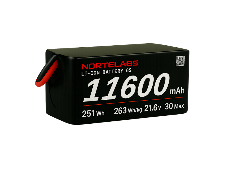 Li-ion 11600mAh 6S2P 21.6V Battery Pack
